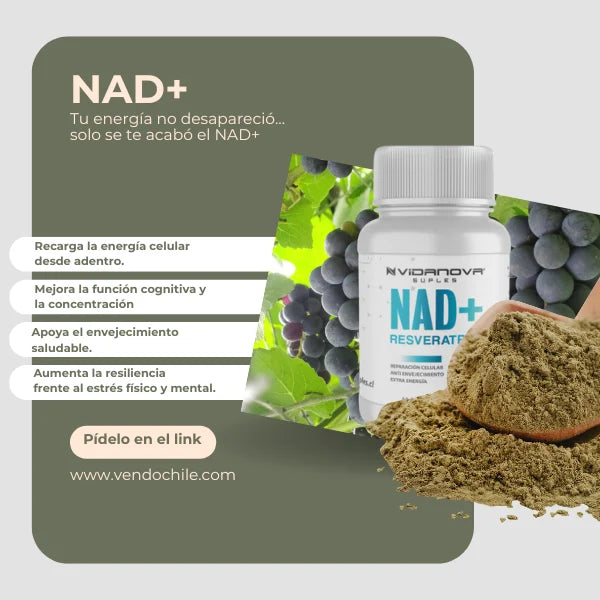 Pack de Ashwagandha y NAD+: Energía de un atleta y el Enfoque de un monje